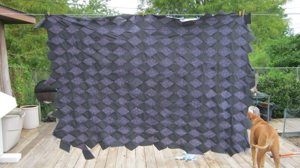 Diamond "Skeleton" Quilt photo IMG_3473.jpg