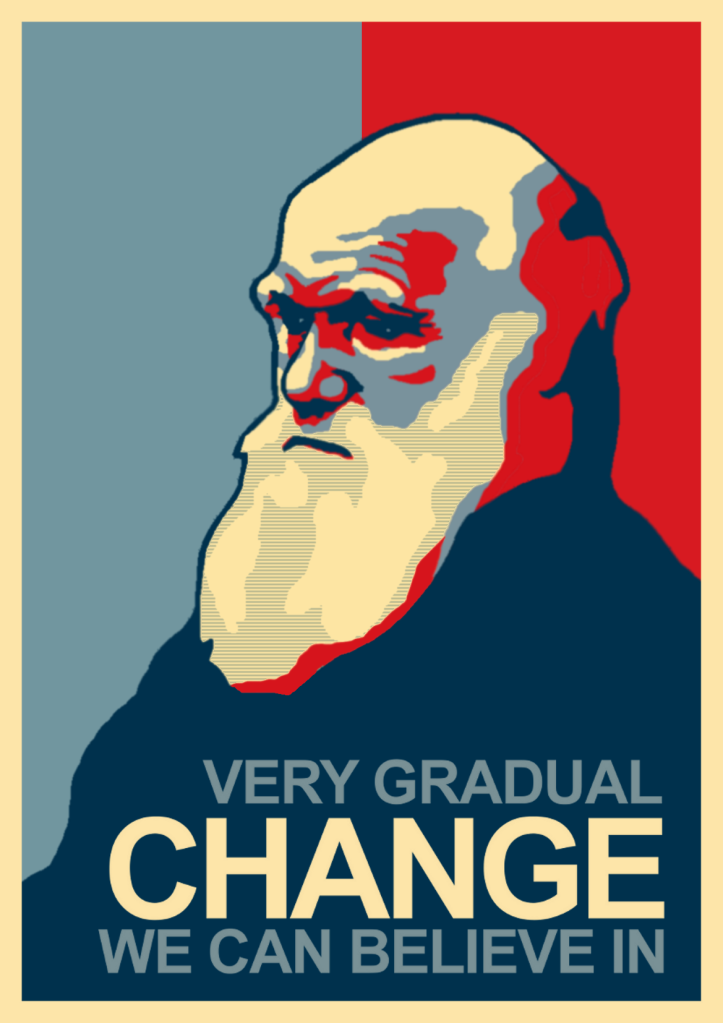 1241581967432.png