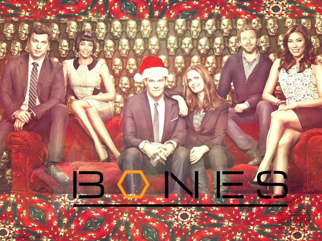 Bones 2013 Fan Art Holiday Competition Voting Bones Fan Forum