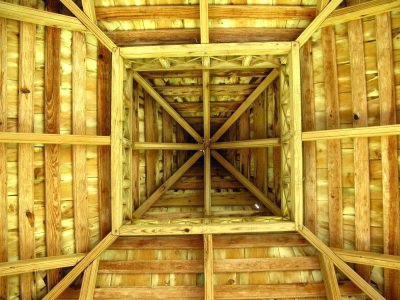 IMAGE: http://i605.photobucket.com/albums/tt133/TomEdward/2739733671_94b0484d5e_o.jpg