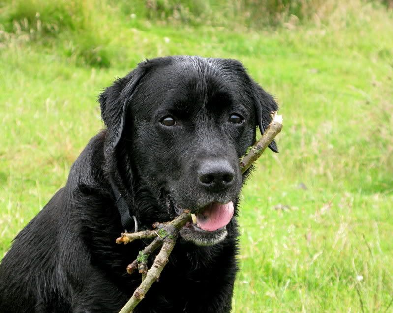 IMAGE: http://i605.photobucket.com/albums/tt133/TomEdward/IMG_3748mod.jpg