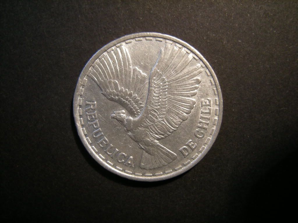 Penny Penny