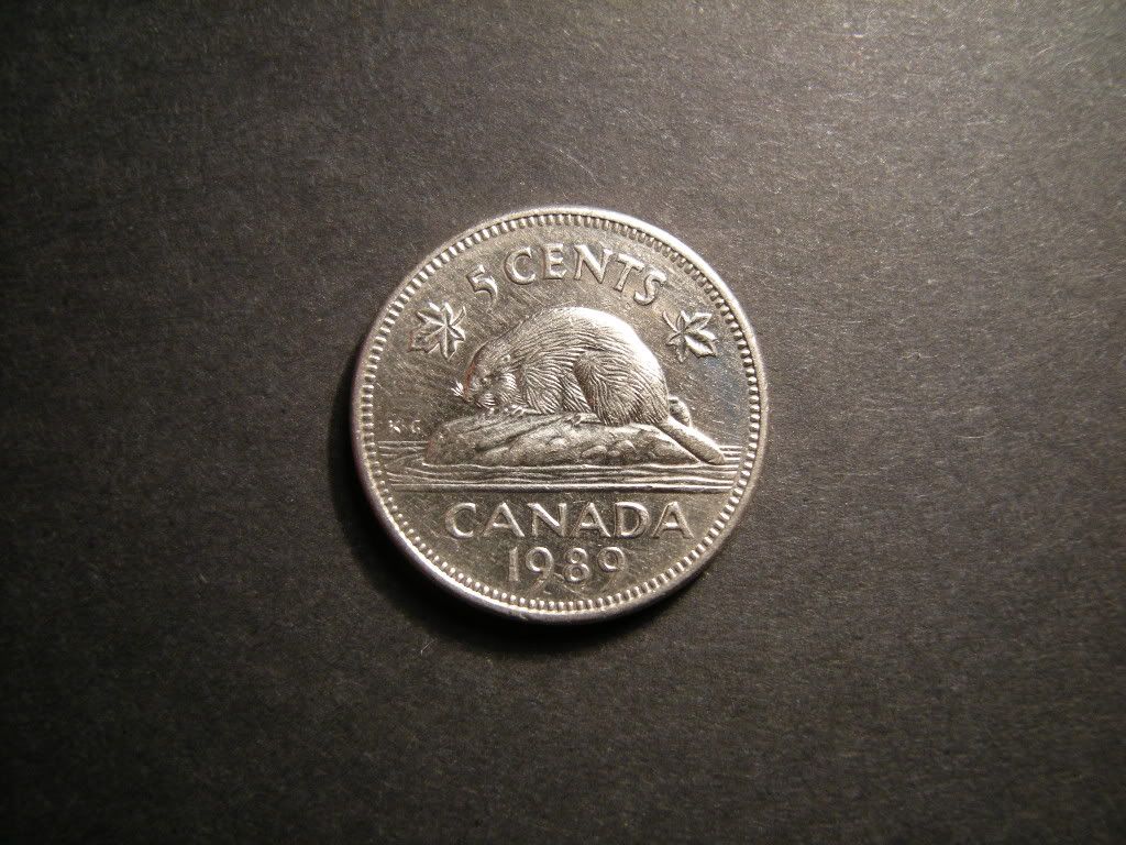Penny Penny