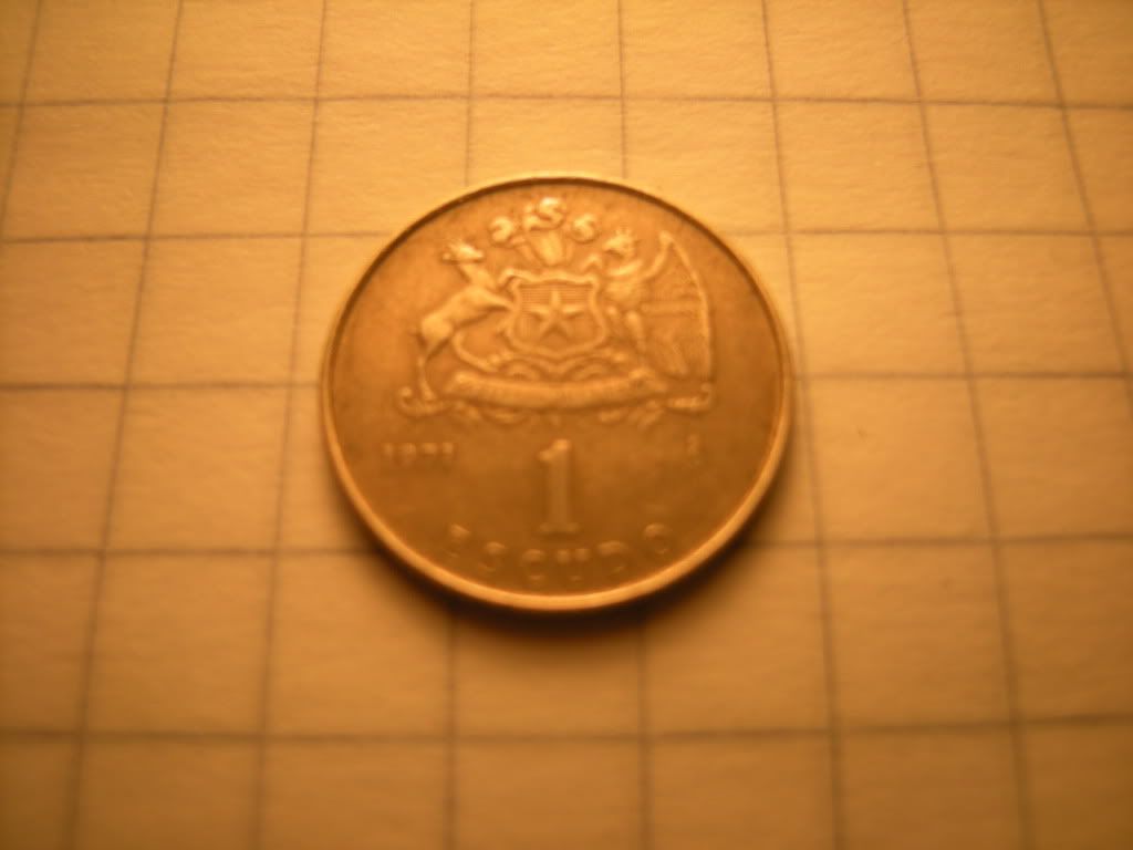 Argentina Argentina