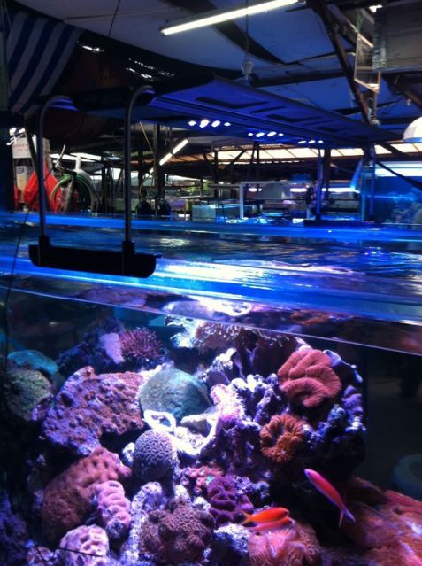 IMG-20120711-WA0003.jpg