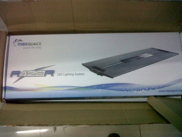 IMG00991-20120901-0956.jpg