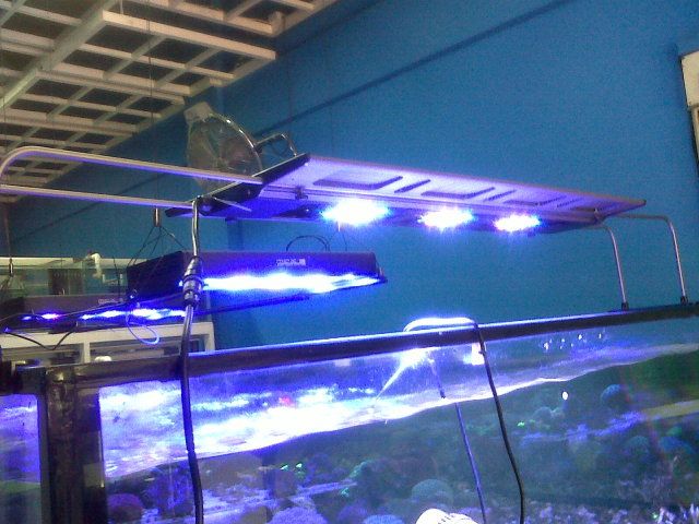 IMG00996-20120901-1008.jpg