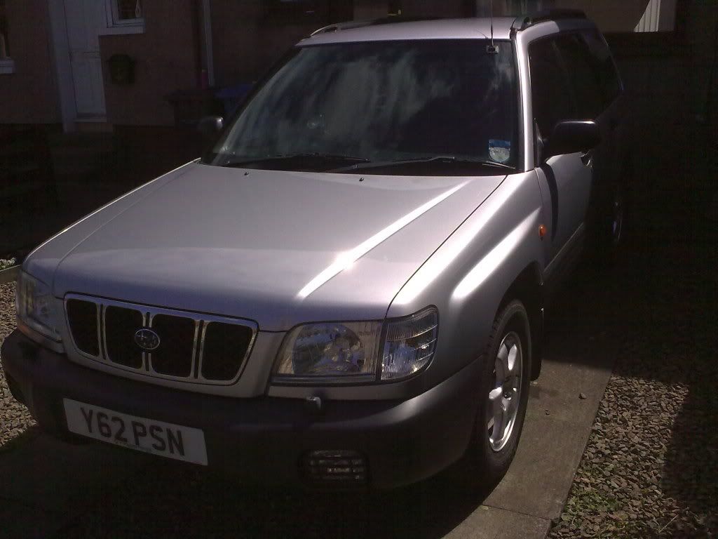 forester002.jpg