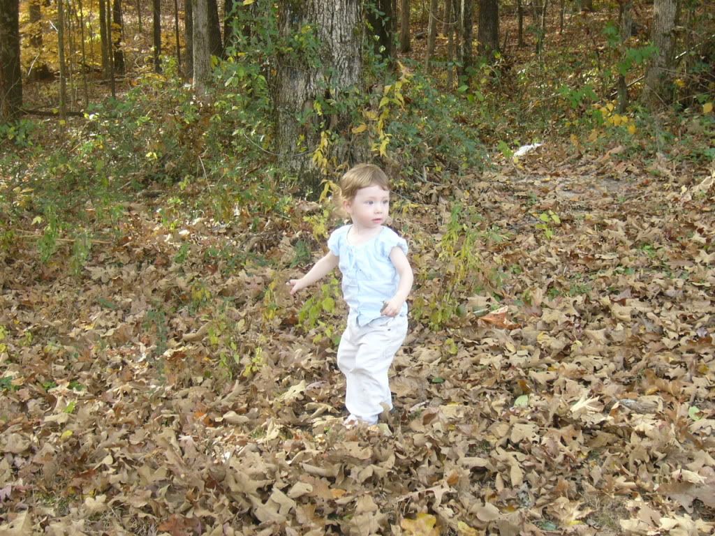 Cailey in the leaves photo Caileyleavesandsnow003.jpg