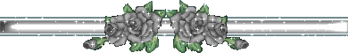 gris10fv155.gif