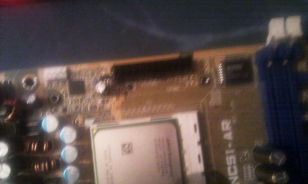 IMAG0243.jpg