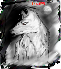 lobo06copygn6.png