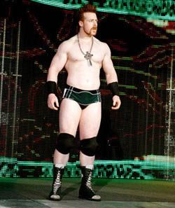 http://i605.photobucket.com/albums/tt140/deborabg/WWE/sheamus.jpg