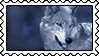 Wolf pack protection banner