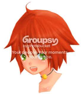 User Image