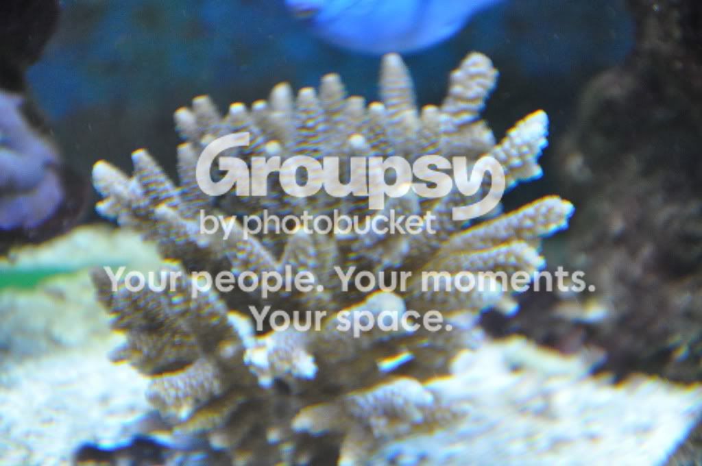 [TodoMarino.com] Blurp's 400l
