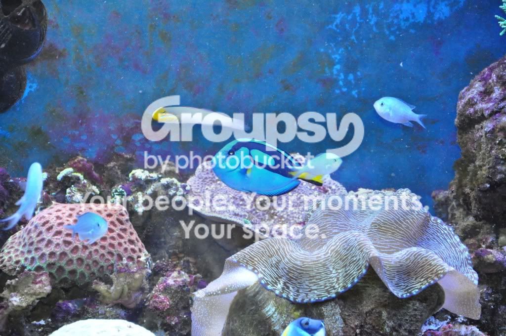 [TodoMarino.com] Blurp's 400l