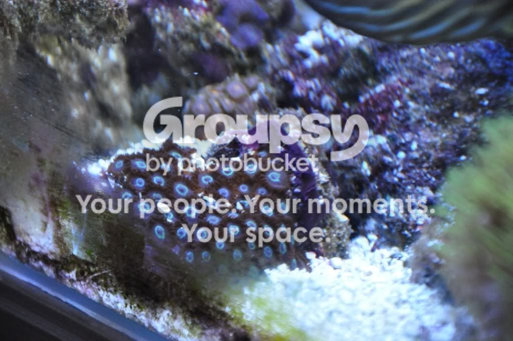 [TodoMarino.com] Blurp's 400l
