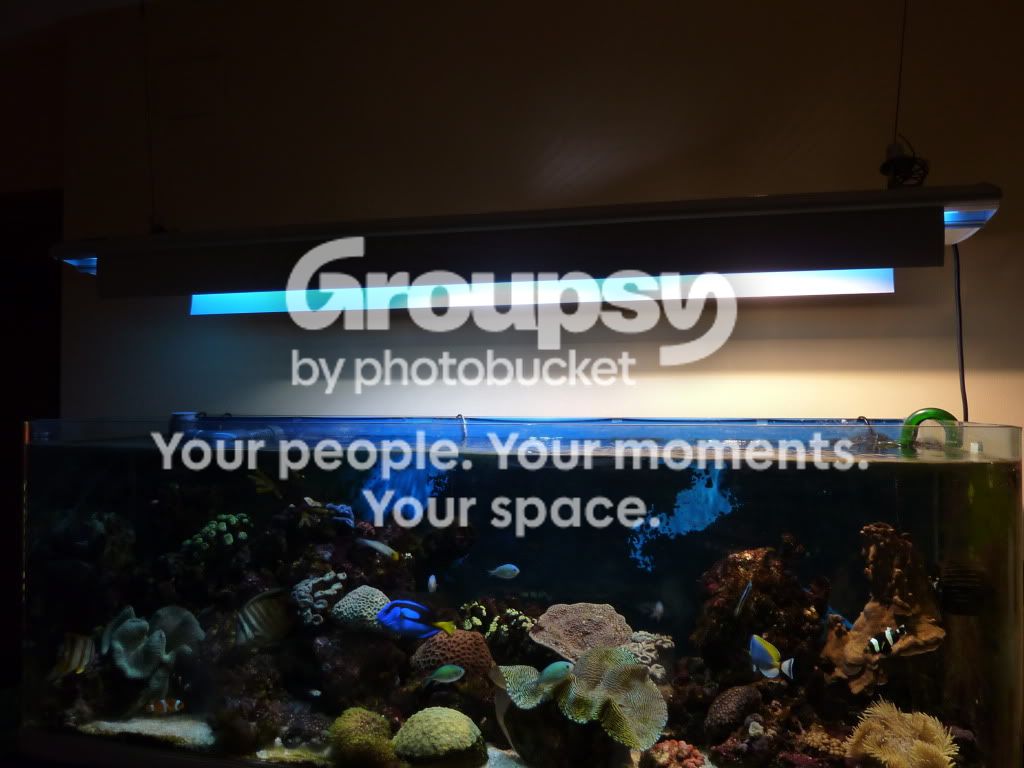 [TodoMarino.com] Blurp's 400l