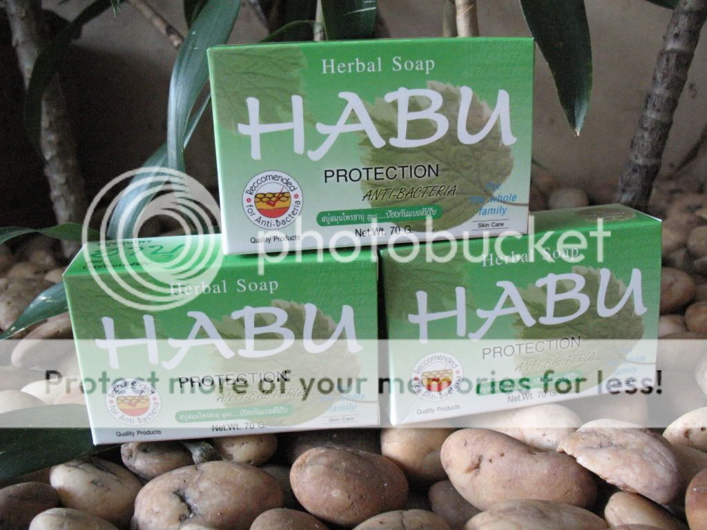 Habu Green Tea Herbal Soap Protection Anti Bacteria  