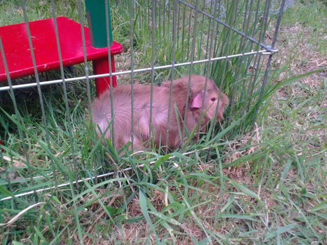 Photo0260.jpg