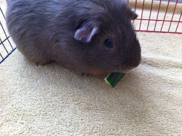 photo26.jpg