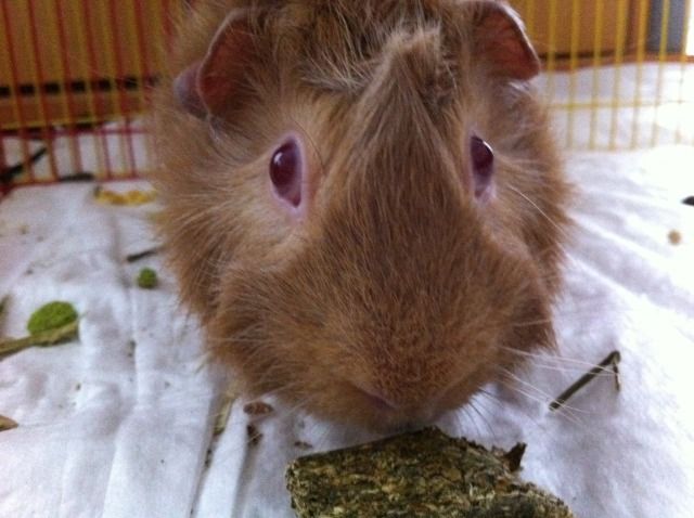 photo29.jpg